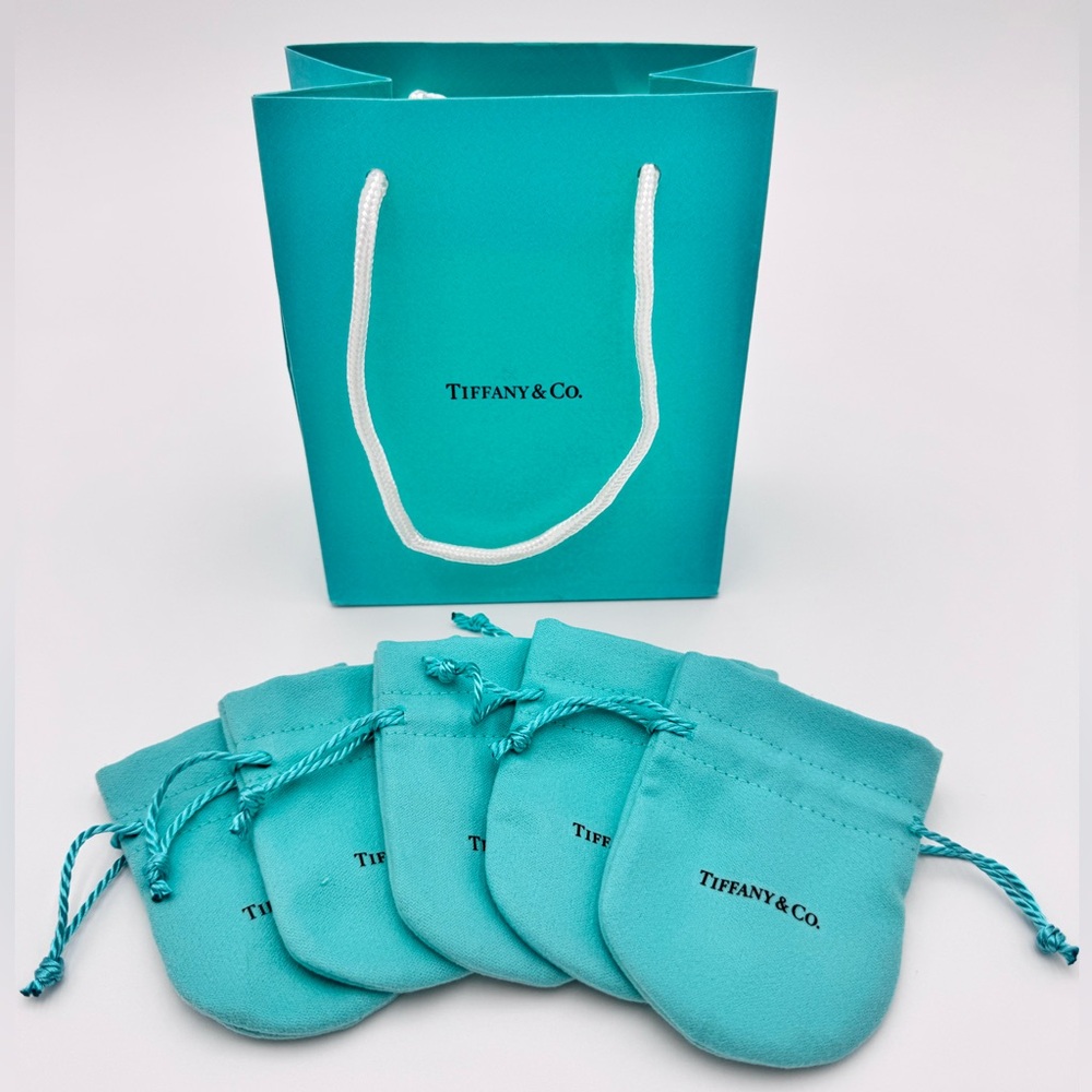 Small Tiffany & Co Jewelry Pouch